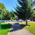 Wisienka