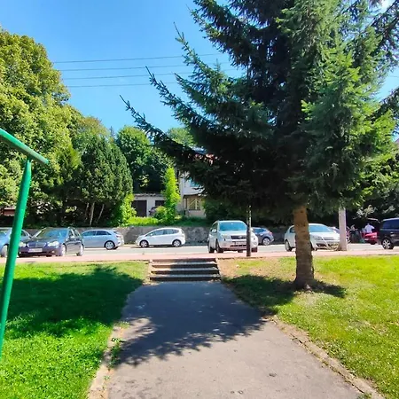 Wisienka