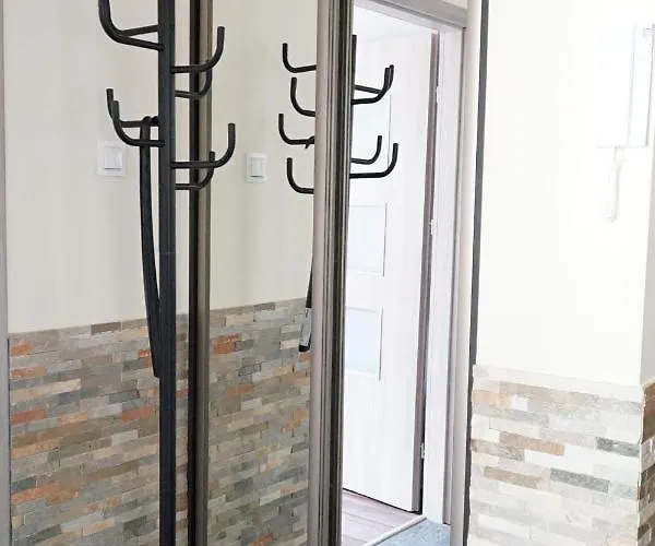 Wisienka * 두슈니키 즈드로지