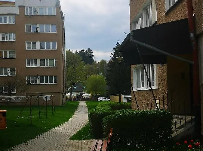 Wisienka * 두슈니키 즈드로지